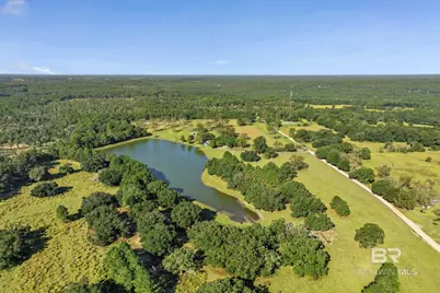 11555 Jack Hamilton Road, Mobile, AL 36695 - Photo 13