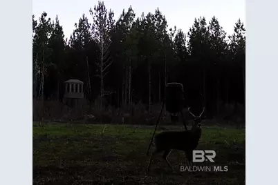 22544 Lechner Road, Robertsdale, AL 36567 - Photo 19