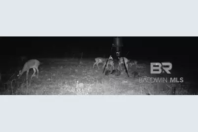 22544 Lechner Road, Robertsdale, AL 36567 - Photo 21