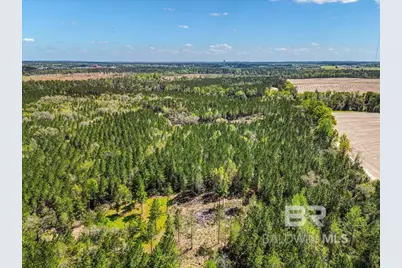 22544 Lechner Road, Robertsdale, AL 36567 - Photo 7