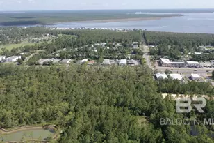 0 Canal Rd, Orange Beach, AL 36561 - Photo 3