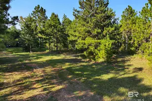 0 US Hwy 31, Bay Minette, AL 36507 - Photo 29