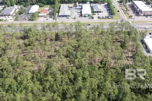 0 Canal Rd, Orange Beach, AL 36561 - Photo 3