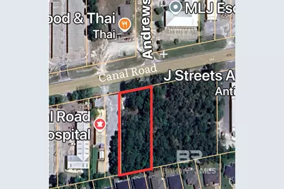 0 Canal Road, Orange Beach, AL 36561 - Photo 1