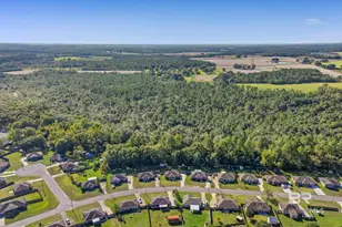 13609 James Copeland Dr, Mobile, AL 36695 - Photo 27