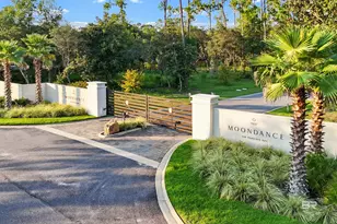 29863 Moondance Loop, Orange Beach, AL 36561 - Photo 43
