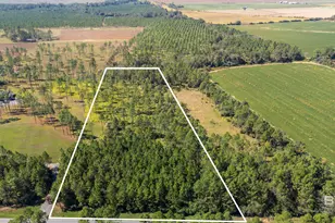 32763 County Rd 64 Ext, Robertsdale, AL 36567 - Photo 1