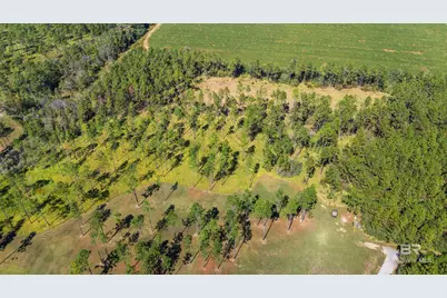 32763 County Road 64 Extension, Robertsdale, AL 36567 - Photo 13