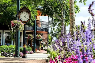 17487 Pandion Ridge, Fairhope, AL 36532 - Photo 15