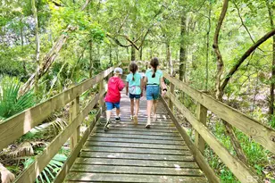 11616 Thistledown Loop, Spanish Fort, AL 36527 - Photo 47