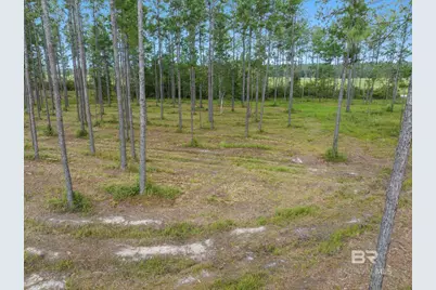 43944 County Road 112, Bay Minette, AL 36507 - Photo 7