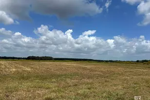 0 County Road 26, Foley, AL 36525 - Photo 5