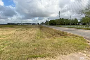 0 County Road 65, Foley, AL 36525 - Photo 13