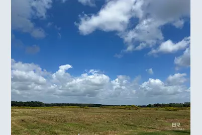 0 County Road 65, Foley, AL 36525 - Photo 3
