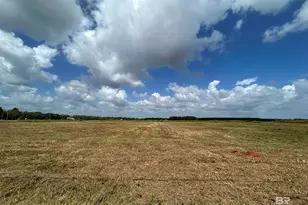 0 County Road 65, Foley, AL 36525 - Photo 7