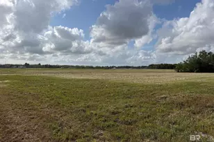 0 County Road 26, Foley, AL 36525 - Photo 13
