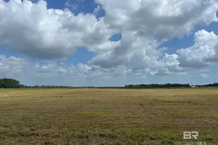 0 County Road 26, Foley, AL 36525 - Photo 7