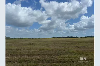 0 County Road 26, Foley, AL 36525 - Photo 3