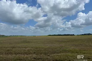 0 County Road 26, Foley, AL 36525 - Photo 3