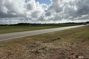 0 County Road 26, Foley, AL 36525 - Photo 11