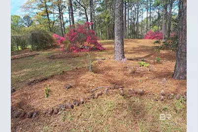 7650 Iron Rush Road, Wilmer, AL 36587 - Photo 31