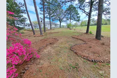 7650 Iron Rush Road, Wilmer, AL 36587 - Photo 3