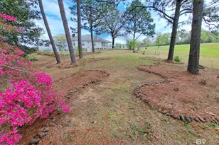 7650 Iron Rush Rd, Wilmer, AL 36587 - Photo 3