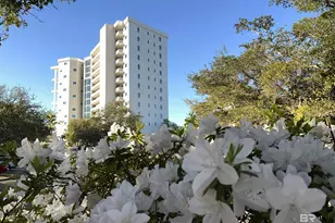 28250 Canal Rd, Orange Beach, AL 36561 - Photo 41