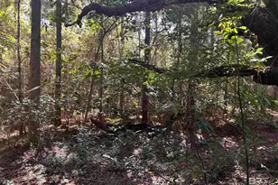 0 New Neck Rd, Mobile, AL 36695 - Photo 1