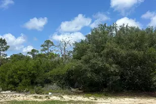 0 Bayou Ct, Orange Beach, AL 36561 - Photo 1