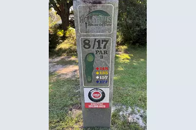 38360 Holly Hills Drive, Bay Minette, AL 36507 - Photo 17