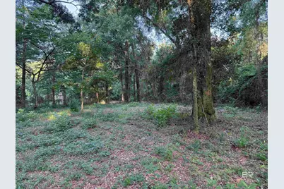 0 State Highway 225, Spanish Fort, AL 36527 - Photo 3