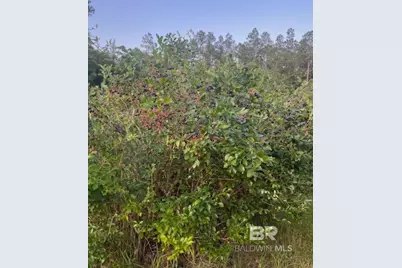 25151 Goat Cooper Road, Robertsdale, AL 36567 - Photo 19