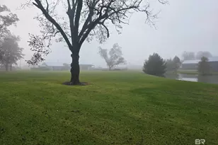 11947 Co Rd 65, Foley, AL 36535 - Photo 25