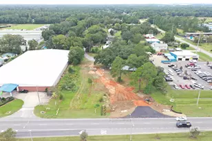 7931 State Hwy 59, Foley, AL 36535 - Photo 3