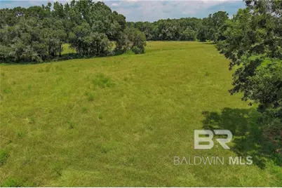 0 Circle R Farm Drive, Florala, AL 36442 - Photo 19