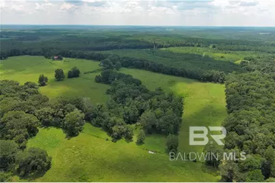 0 Circle R Farm Drive, Florala, AL 36442 - Photo 13