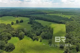 0 Circle R Farm Dr, Florala, AL 36442 - Photo 13