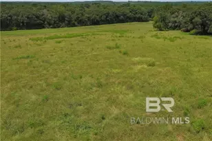 0 Circle R Farm Dr, Florala, AL 36442 - Photo 9