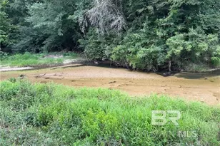 0 Circle R Farm Dr, Florala, AL 36442 - Photo 23