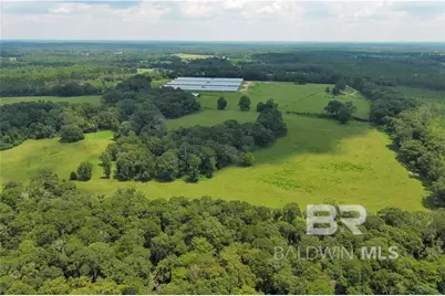 0 Circle R Farm Drive, Florala, AL 36442 - Photo 11