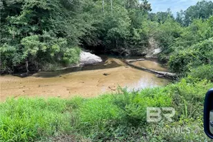 0 Circle R Farm Dr, Florala, AL 36442 - Photo 21
