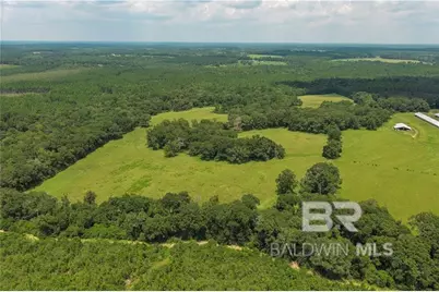0 Circle R Farm Drive, Florala, AL 36442 - Photo 1