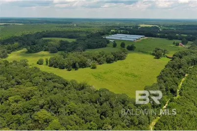 0 Circle R Farm Drive, Florala, AL 36442 - Photo 3