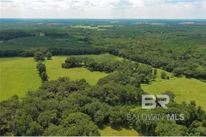 0 Circle R Farm Drive, Florala, AL 36442 - Photo 7