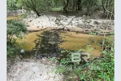 0 Circle R Farm Drive, Florala, AL 36442 - Photo 25