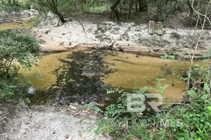 0 Circle R Farm Dr, Florala, AL 36442 - Photo 25