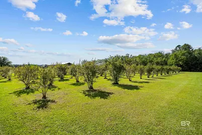 21756 Koier Road, Robertsdale, AL 36567 - Photo 67