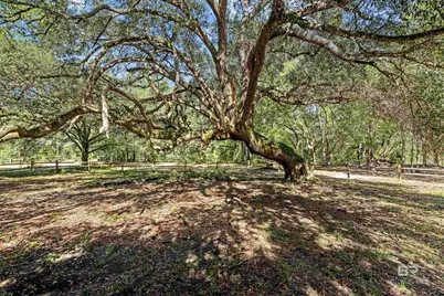 22506 Doc McDuffie Road, Foley, AL 36535 - Photo 47
