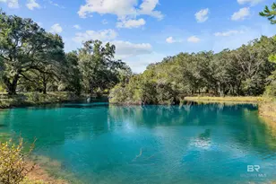 22506 Doc McDuffie Rd, Foley, AL 36535 - Photo 5